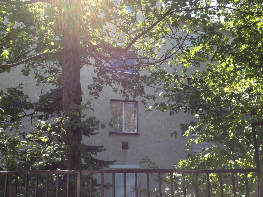 Platán apartman Budapest Camera foto